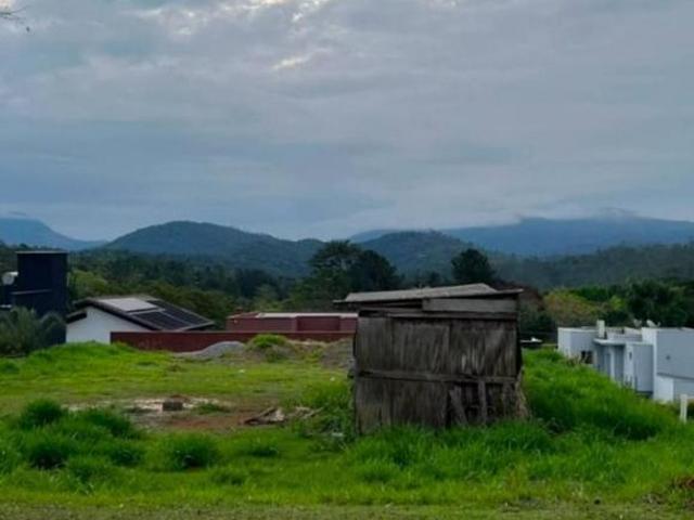 Terreno venda em Santa Isabel