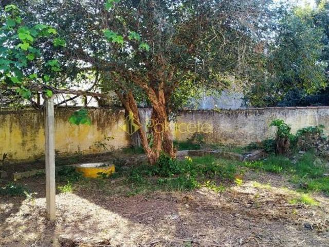 Terreno venda em Região Imediata de Taubaté-Pindamonhangaba, Região Metropolitana do Vale do Paraíba e Litoral Norte