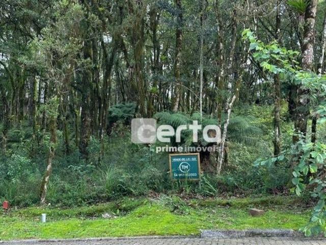 Terreno venda em Gramado