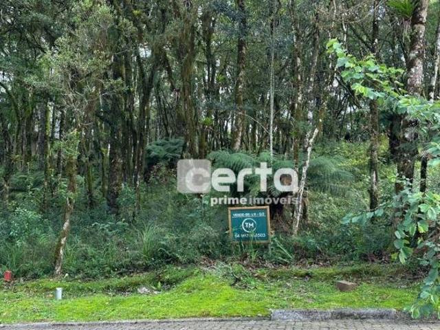 Terreno venda em Região Geográfica Imediata de Caxias do Sul, Gramado