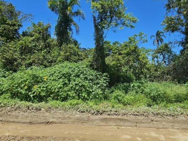 Terreno venda em Região Imediata de Caraguatatuba-Ubatuba-São Sebastião, Região Metropolitana do Vale do Paraíba e Litoral Norte