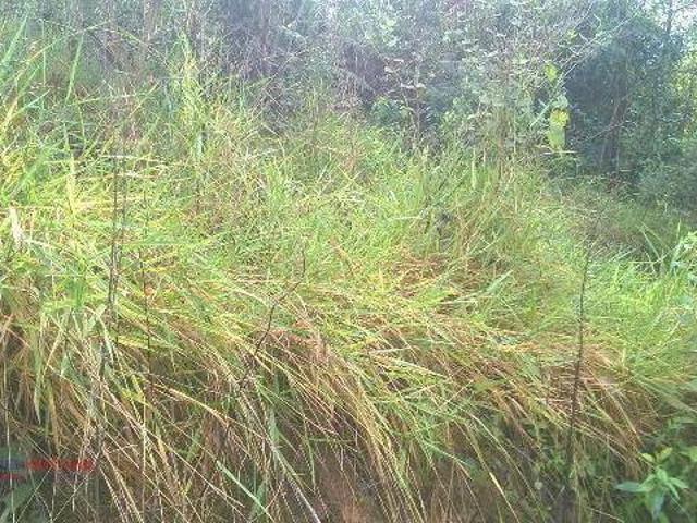 Terreno venda em Região Imediata de Sorocaba, Região Metropolitana de Sorocaba