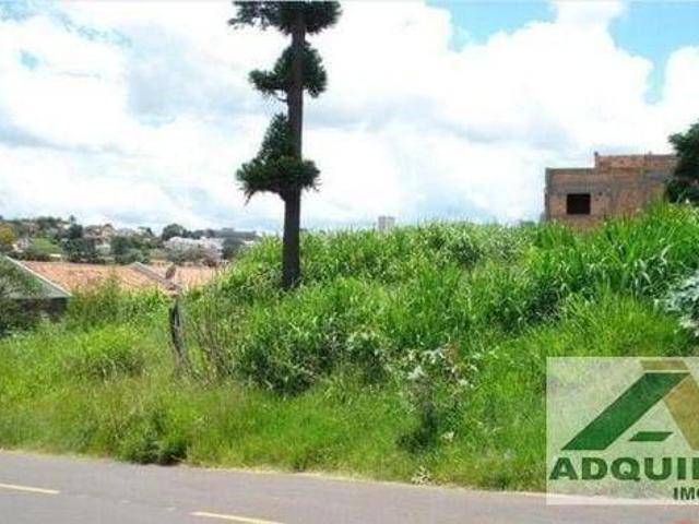 Terreno venda em Vila Estrela, Ponta Grossa