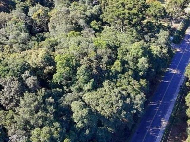 Terreno venda em Região Geográfica Imediata de Curitiba, Região Metropolitana de Curitiba