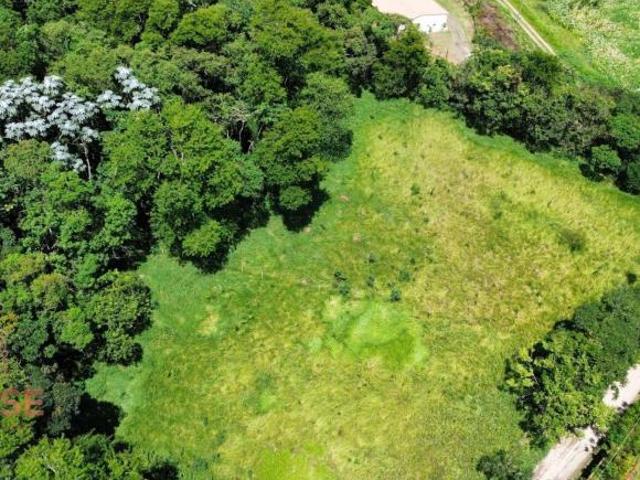 Terreno venda em Santa Isabel