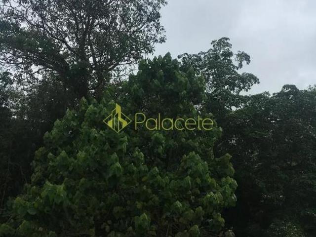 Terreno venda em Região Imediata de Taubaté-Pindamonhangaba, Região Metropolitana do Vale do Paraíba e Litoral Norte