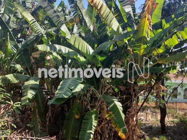 Terreno venda em Região Geográfica Imediata de Belo Horizonte, Região Metropolitana de Belo Horizonte