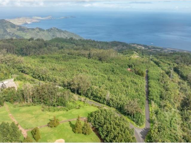 Terreno venda em Machico, Ilha Da Madeira