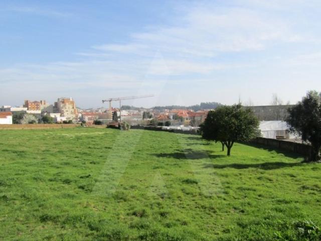 Terreno venda em Assilhó, Albergaria-a-velha