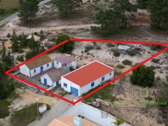 Terreno venda em Alcácer Do Sal, Setúbal