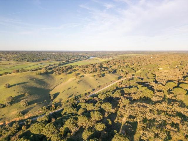 Terreno venda em Alcácer Do Sal, Setúbal
