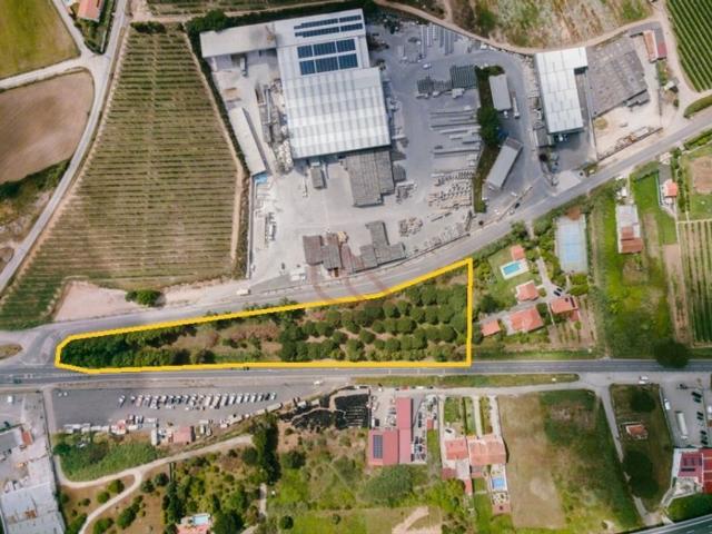 Terreno venda em Alcobaça, Leiria