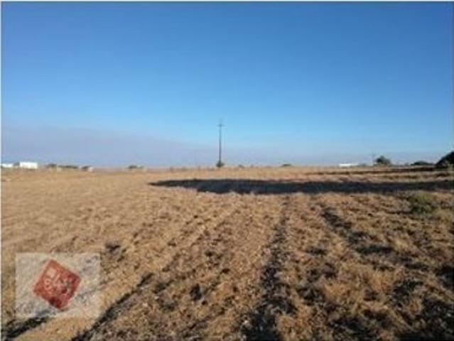 Terreno venda em Alcochete, Setúbal