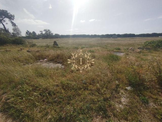 Terreno venda em Alcochete, Setúbal