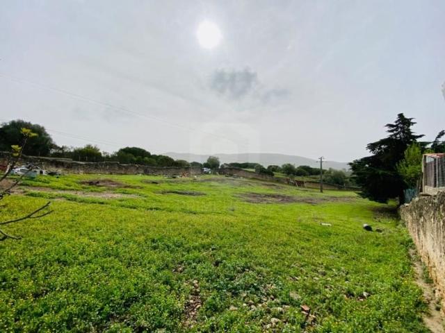 Terreno venda em Azeitão (São Lourenço e São Simão), Setúbal