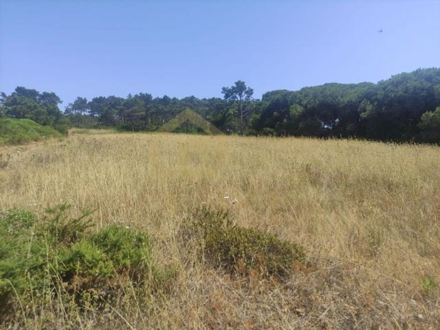 Terreno venda em Castelo, Sesimbra
