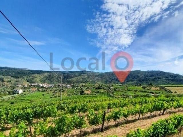 Terreno venda em Alijó, Vila Real