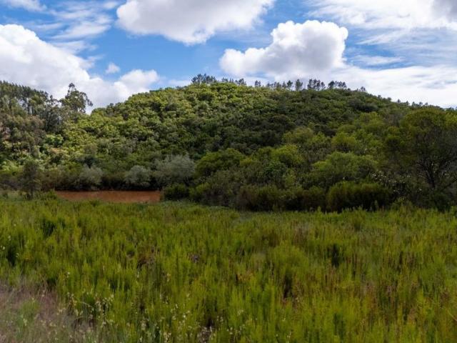 Terreno venda em Aljezur, Faro