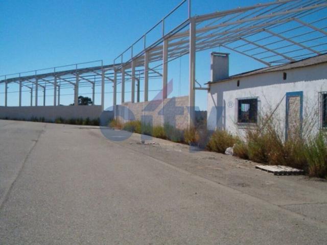 Terreno venda em Aljustrel, Beja