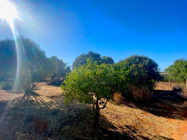 Terreno venda em Loulé, Faro