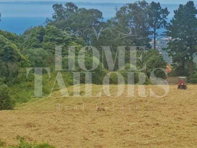 Terreno venda em Sintra, Lisboa