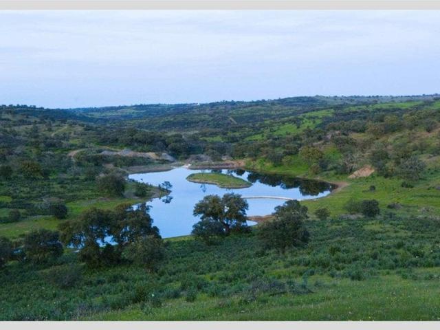 Terreno venda em Almodôvar, Beja