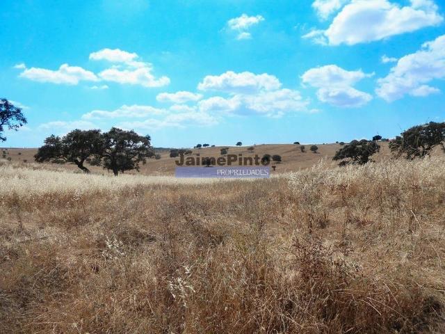 Terreno venda em Almodôvar, Beja