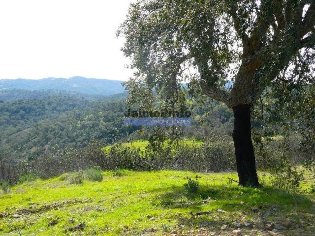 Terreno venda em Almodôvar, Beja