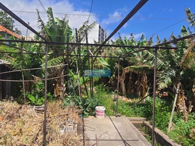 Terreno venda em Funchal, Ilha Da Madeira