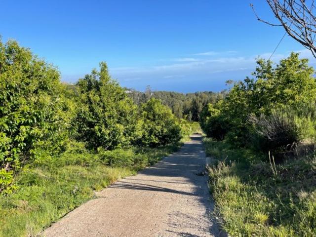 Terreno venda em Ladeira e Lamaceiros, Arco Da Calheta