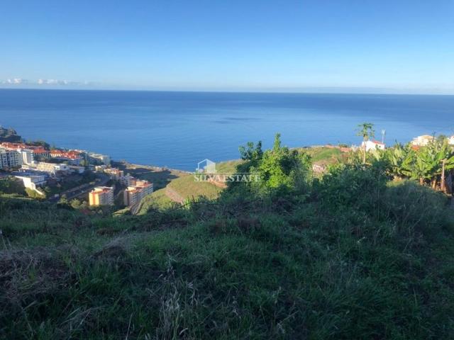 Terreno venda em Papagaio Verde, Funchal
