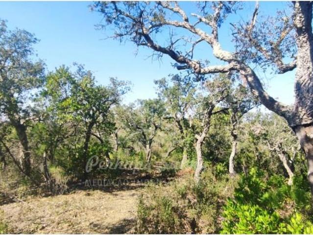 Terreno venda em Valinho, Santiago Do Cacém