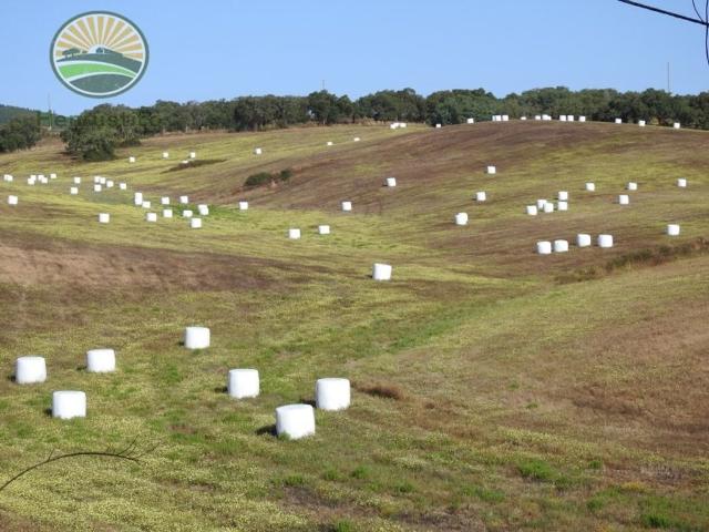 Terreno venda em Cercal, Santiago Do Cacém