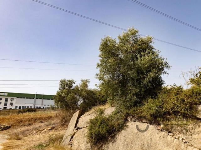 Terreno venda em Arruda Dos Vinhos, Malafaia Terreno venda em Arruda Dos Vinhos, Malafaia