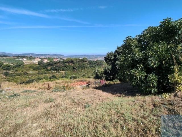 Terreno venda em Arruda Dos Vinhos, Lisboa