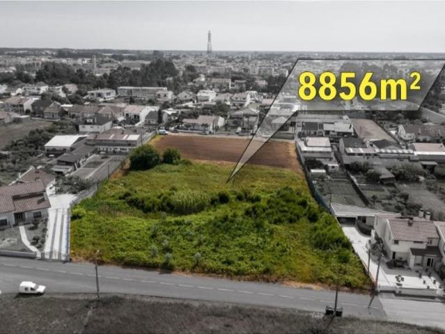 Terreno venda em Lagoa de Esgueira, Aveiro