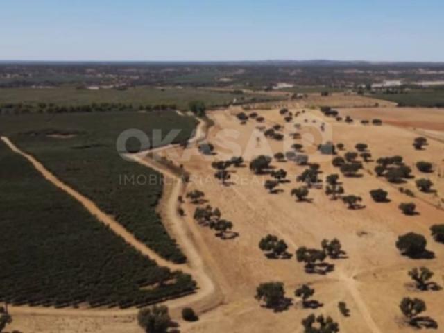 Terreno venda em Avis, Portalegre