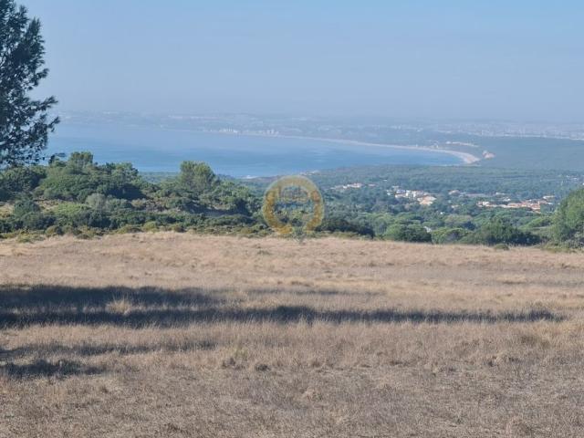 Terreno venda em Castelo, Sesimbra