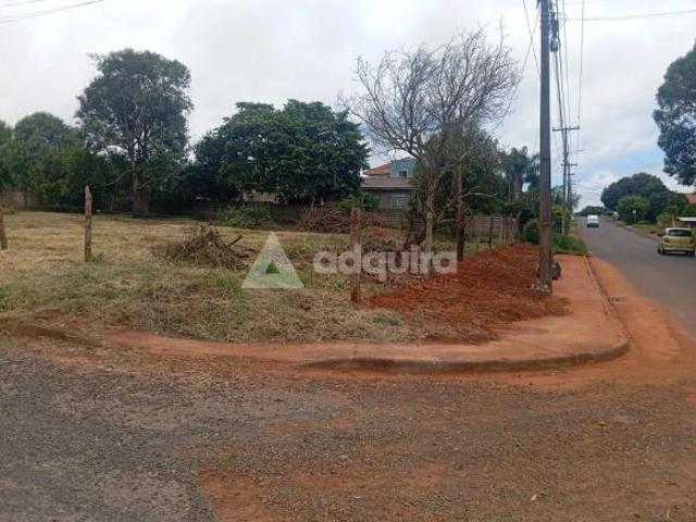 Terreno venda em Cará-Cará, Ponta Grossa