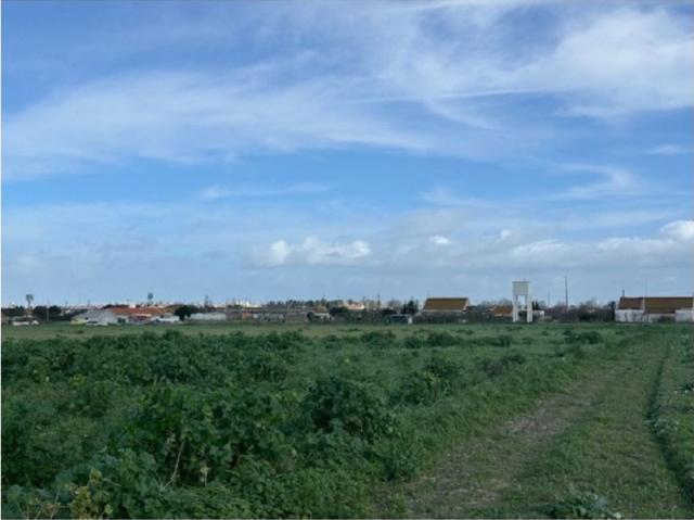 Terreno venda em Baixa do Montijo, Montijo