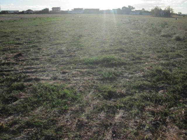 Terreno venda em Bela Colónia, Montijo