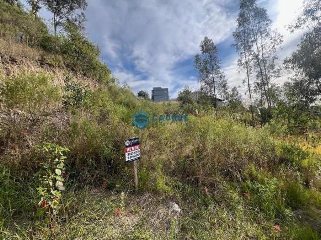 Terreno venda em Região Geográfica Imediata de Caxias do Sul, Caxias do Sul