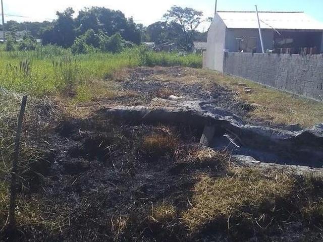 Terreno venda em Região Geográfica Imediata de Paranaguá, Guaraquecaba