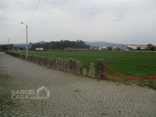 Terreno venda em Alvelos, Arcozelo