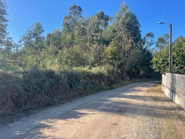 Terreno venda em Viatodos, Grimancelos, Minhotães e Monte de Fralães, Barcelos