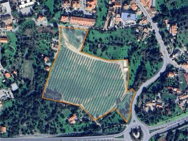 Terreno venda em São Brás De Alportel, Faro