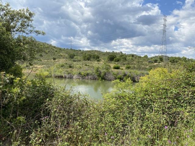 Terreno venda em Silves, Faro