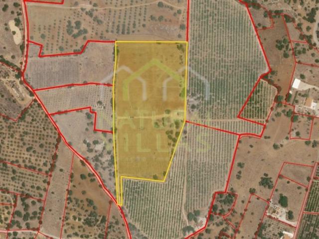 Terreno venda em Conceição, Faro