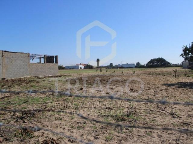 Terreno venda em Benavente, Santarém