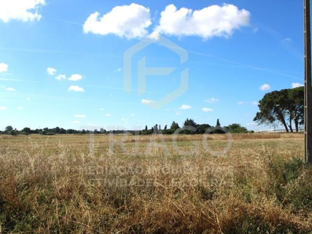 Terreno venda em Benavente, Santarém